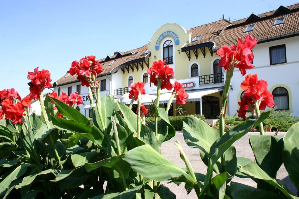 Hotel Orchidea Balastya Экстерьер фото