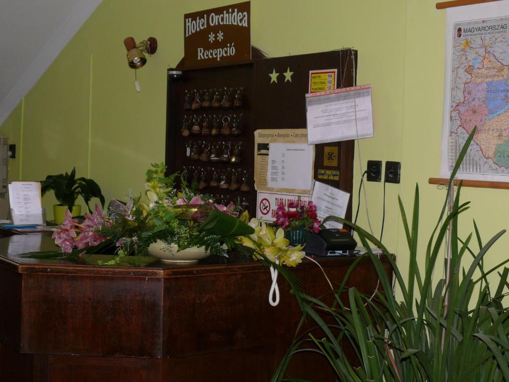 Hotel Orchidea Balastya Экстерьер фото